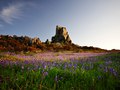 Roach Rock, Cornwall