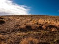 One man in 'no mans land'. Patagonia, South America