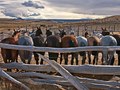 Spectacular view.. Patagonia, South America