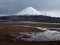 Literally breath taking - at 4600m above sea level on the Chile/Bolivia boarder
