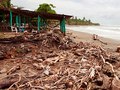 Driftwood and silence. Saladita, west coast Mexico
