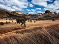 Emirates: Wolgan Valley Resort & Spa. Australia. Photographer - Carlo Ricci