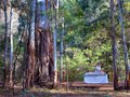 Emirates: Wolgan Valley Resort & Spa. Australia. Photography by North Sullivan