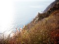 the coastal highway 1 - ocean road, PICTURE PERFECT