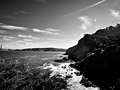 Lands End, San francisco