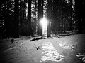 Yosemite, USA