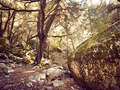 Yosemite Park, USA