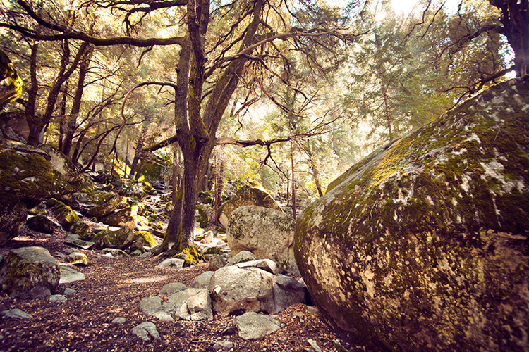 Yosemite Park, USA