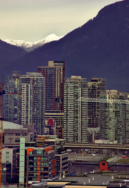 300mm took me in nice and close