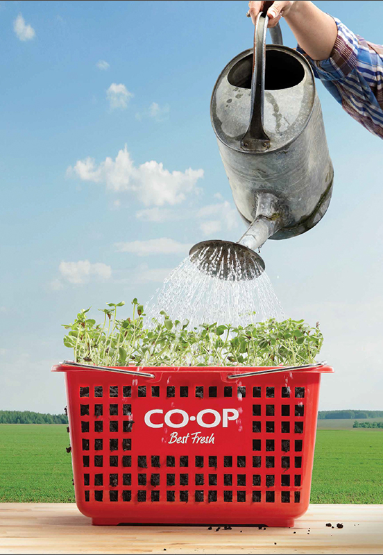 CO-OP print campaign. Photography by Paul Lang, founder of The Orange Apple.