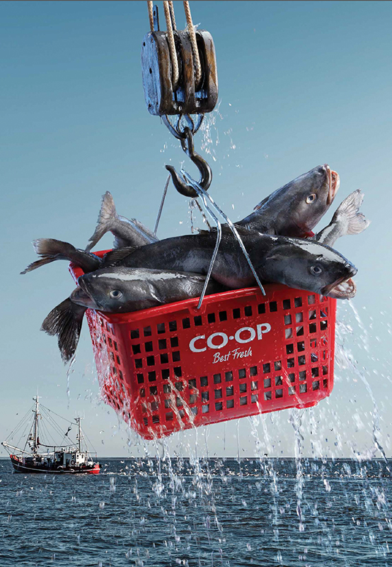 CO-OP print campaign. Photography by Paul Lang, founder of The Orange Apple.