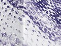 Client: Benq, Agency: MetaDesign