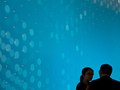 Media walls light+building 2012, Client: ERCO