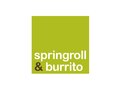 Springroll & Burrito