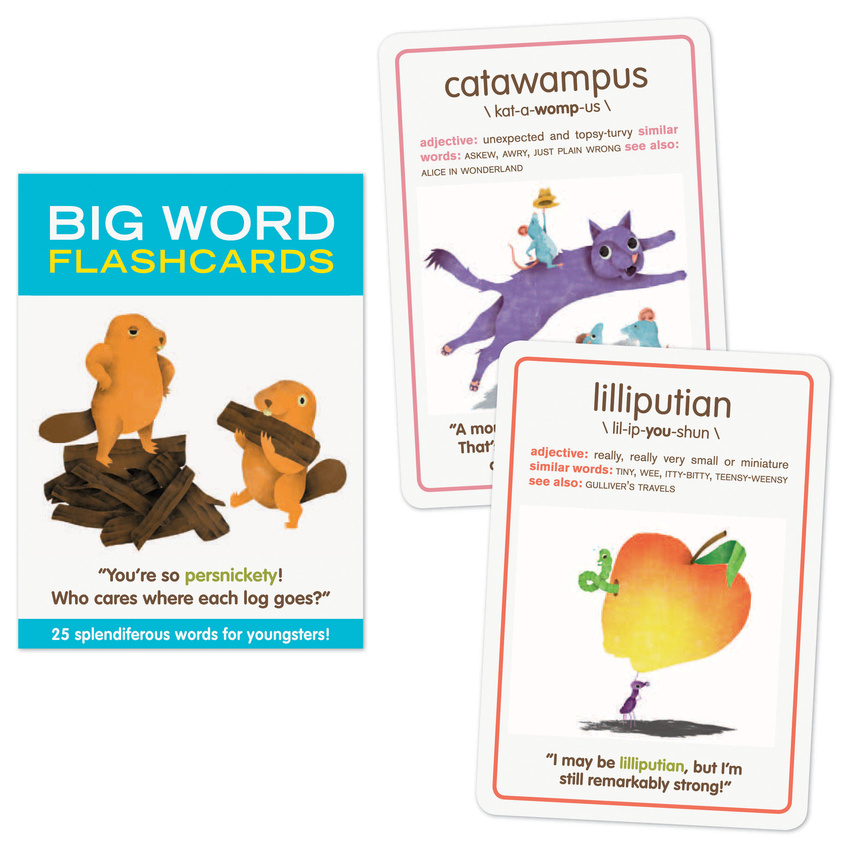 Big Word Flashcards