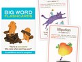 Big Word Flashcards