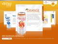 SoBe Essential Energy | Design | <a href="http://samples.squeakywheelmedia.com/sobe/essentialenergy/" target="_blank">View Site