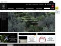 Website Design