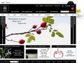 Website Design