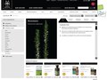 Website Design
