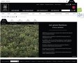 Website Design