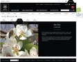 Website Design