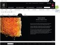 Website Design