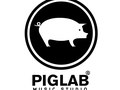 PIGLAB studios