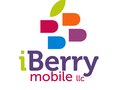 Iberry Logo (Miami)