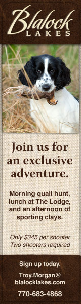 Blalock Lakes Online Ad