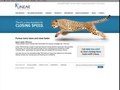 Linear Title & Closing Landing Page