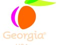 Georgia Business Put Your Dreams in Motion Banner Ads
