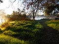 dawn's early light