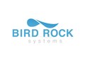 Bird Rock Logo Concept