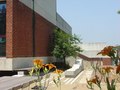 Project in collaboration with peers, ARCH 801