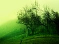 Evergrown Ledge