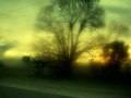 Mist