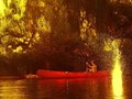 Summer Waters