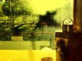 Afternoons & Kitchen Windows