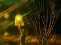 The Artificial Wants