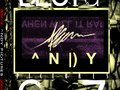 Best of Andy Pictures 2007 - DVD Cover
