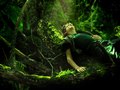 Wilderness Sleep