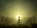 The Rising