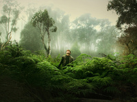 Undergrowth