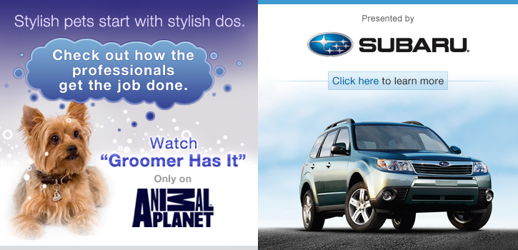 Subaru Ad Sales FPI