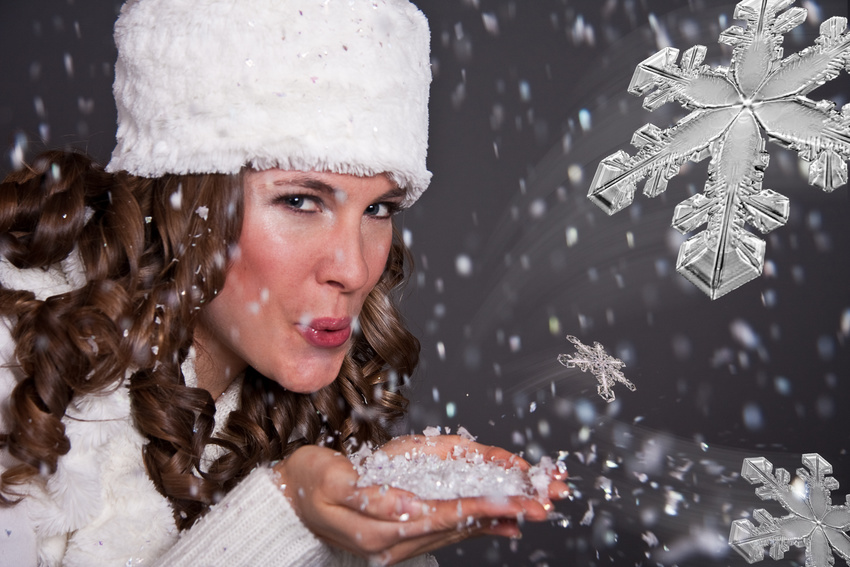 Euro Yard Service Winter Care