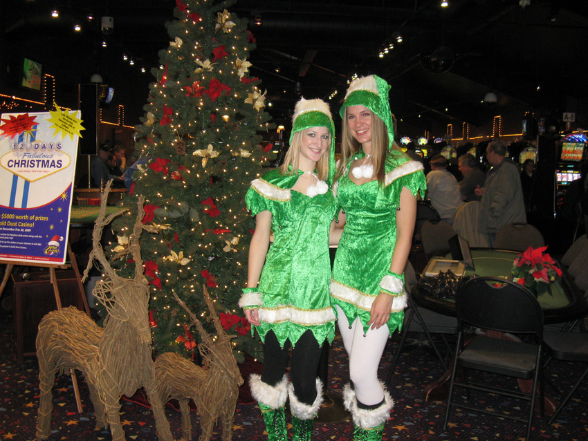 12 Days of Christmas Promotion