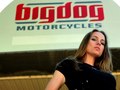 Big Dog Motorcycles, Tampa, Florida