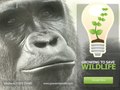 Growing to Save Wildlife