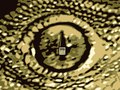 Tuatara Poster